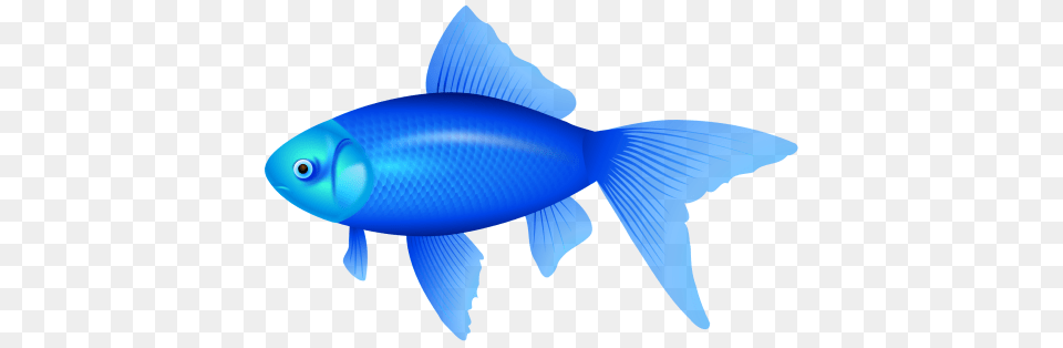 Blue Fish Clipart Image Fish Clipart Images, Animal, Sea Life, Shark Png