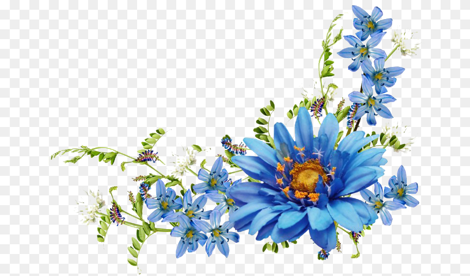 Blue Floral Photos Mart Transparent Blue Flower, Anemone, Pattern, Graphics, Plant Free Png
