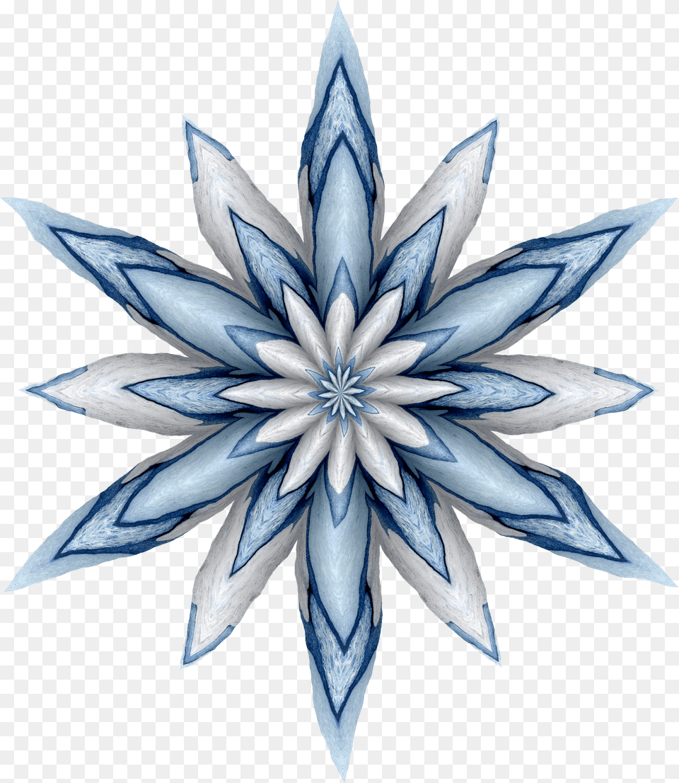 Blue Flower 2020 2 Stock Photo Public Domain Pictures Sketch, Pattern, Accessories, Animal, Bird Free Transparent Png