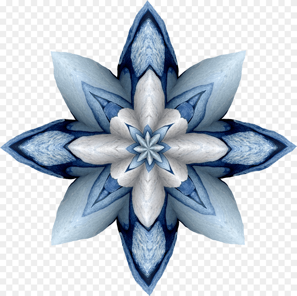 Blue Flower 2020 Icon, Accessories, Pattern, Plant, Art Png