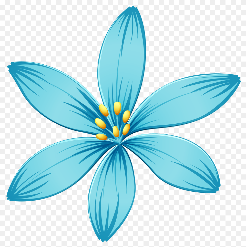 Blue Flower, Plant, Anther, Daisy, Petal Free Transparent Png
