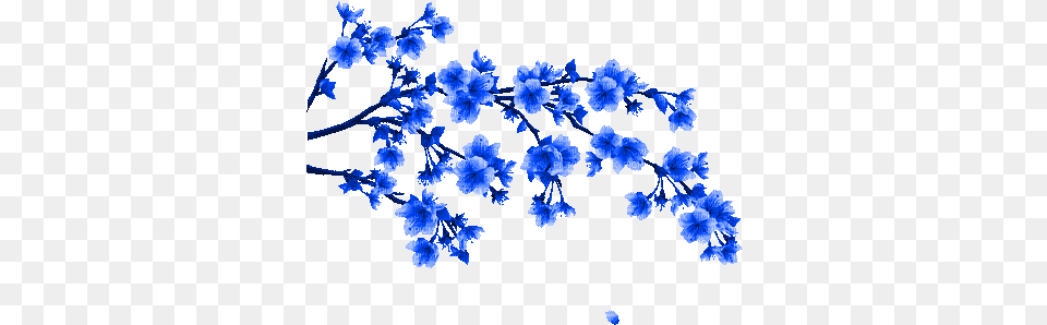 Blue Flower Branche Gif Bleu Fleur Chinese Flower Drawing, Plant, Petal Png