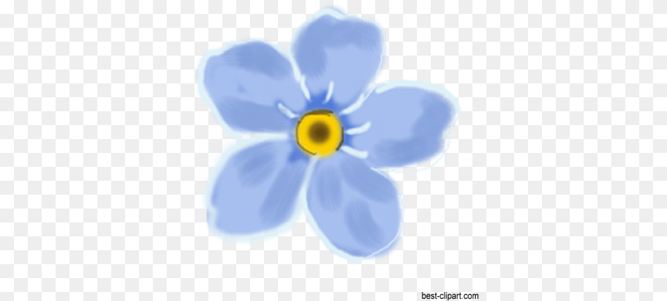 Blue Flower Clip Art Watercolor Watercolor Painting, Anemone, Daisy, Petal, Plant Free Png