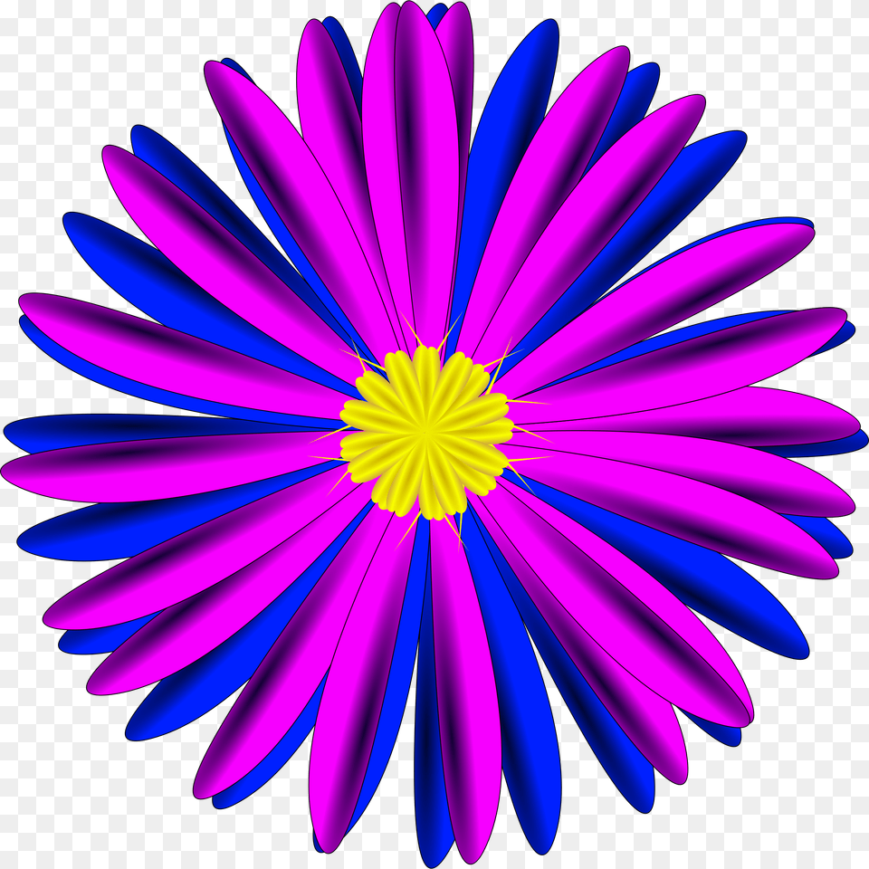 Blue Flower Clipart Pink Flower Pink And Blue Flower, Daisy, Plant, Purple, Pattern Free Transparent Png