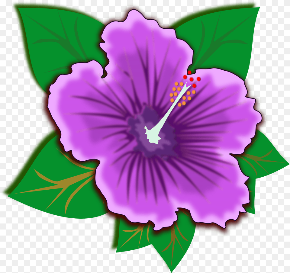 Blue Flower Clipart Rainforest Flower, Plant, Hibiscus, Anther Free Png