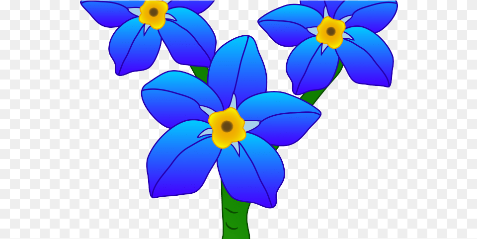 Blue Flower Clipart Single Forget Me Not Flower Cartoon, Daisy, Petal, Plant, Anemone Png