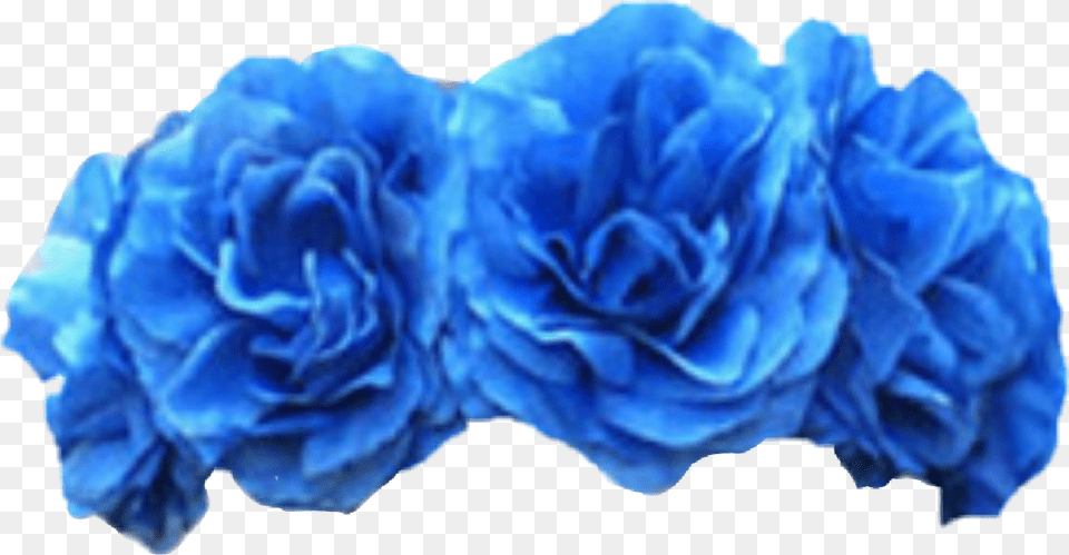 Blue Flower Crown Flower Crown Blue, Plant, Rose Png