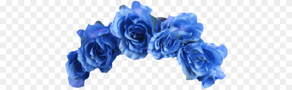 Blue Flower Crown Lightblue Ocean Aesthetic Roses Flowe Aesthetic Flower Crown, Plant, Rose Free Transparent Png