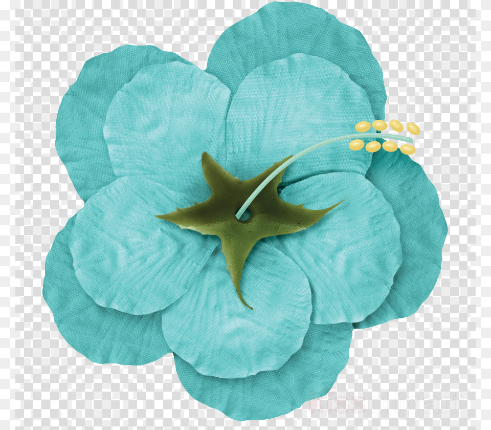 Blue Flower Drawing, Plant, Petal, Anther, Pattern Png