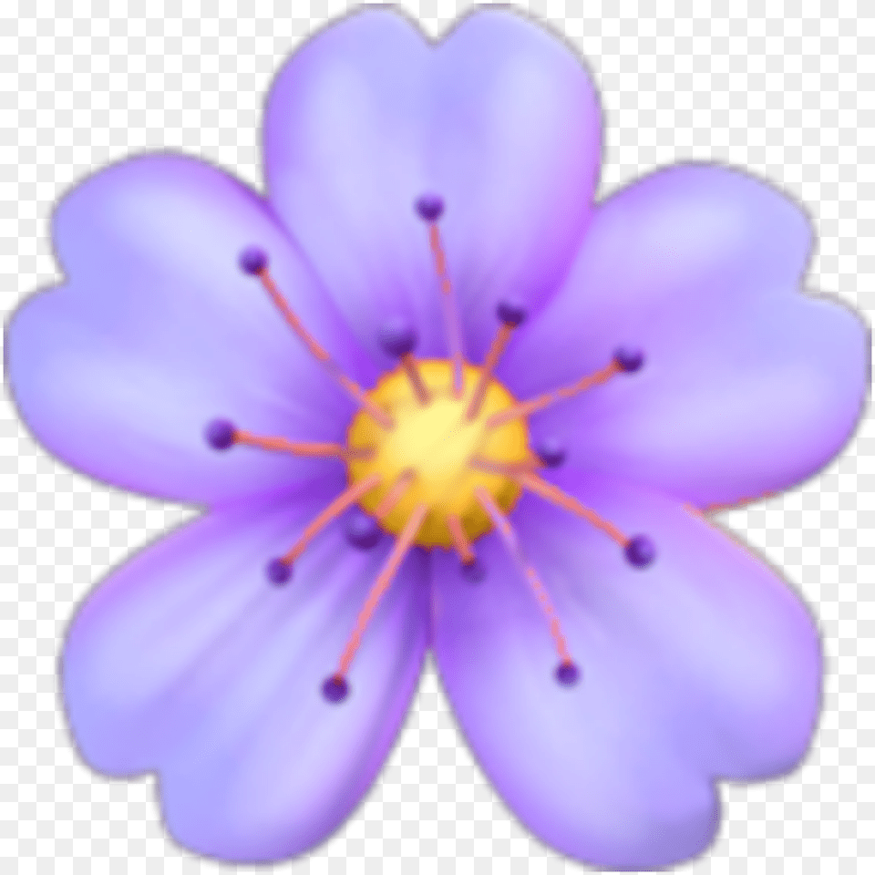 Blue Flower Emoji, Anemone, Anther, Petal, Plant Png Image
