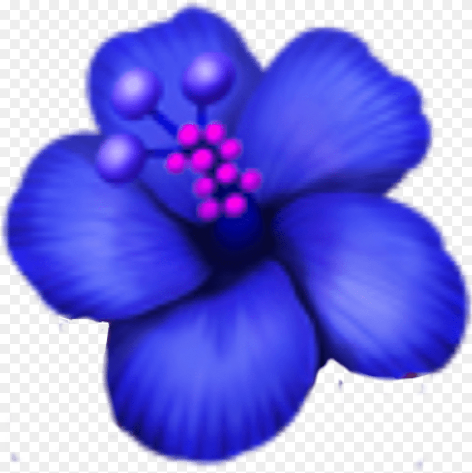 Blue Flower Emoji, Anemone, Plant, Hibiscus, Baby Png