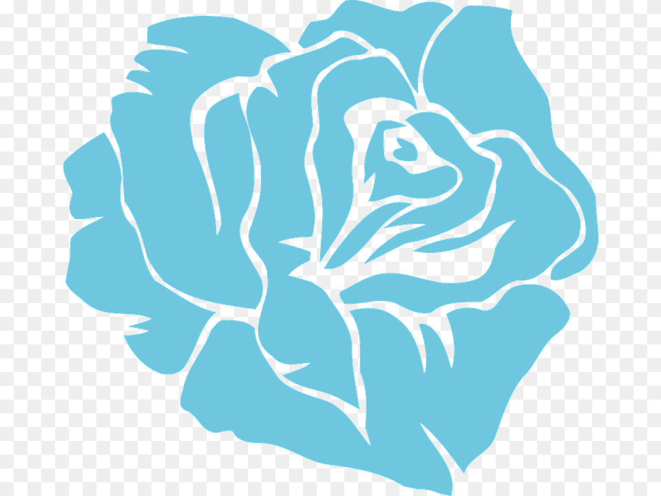 Blue Flower Vector Blue Rose Vector, Plant, Baby, Person, Carnation Png Image