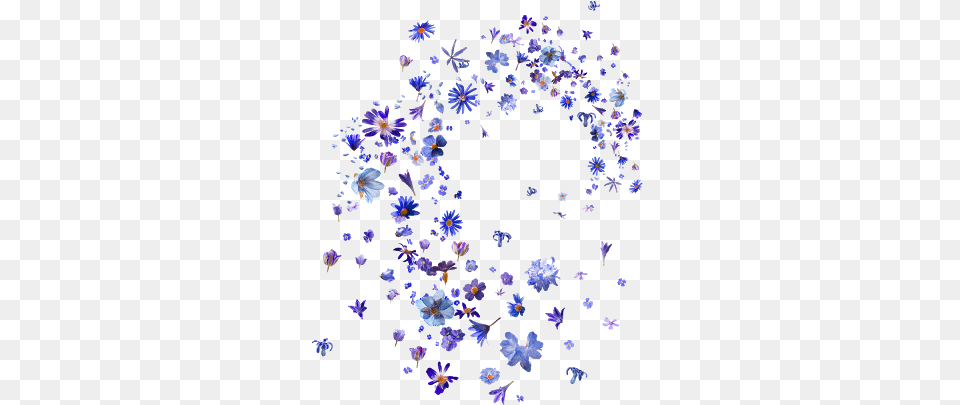 Blue Flowers, Purple, Plant, Petal, Flower Free Transparent Png