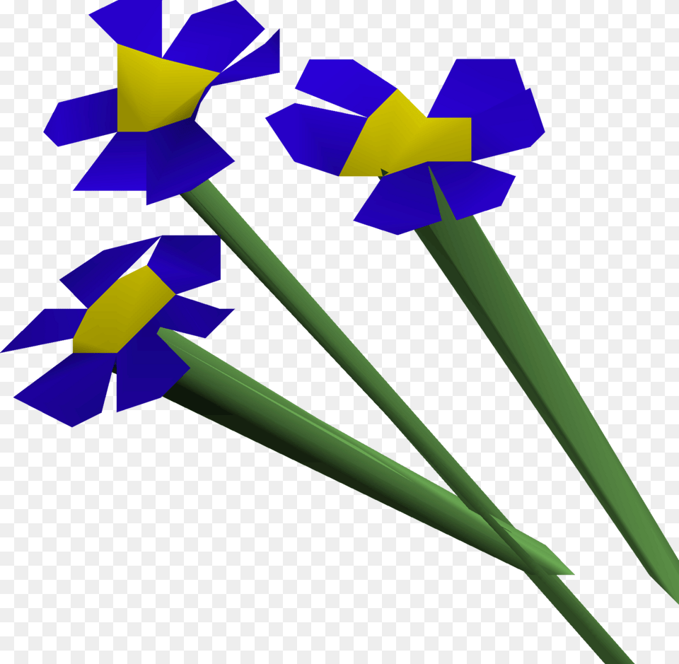 Blue Flowers, Flower, Iris, Plant, Daffodil Free Png Download