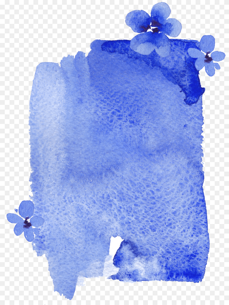 Blue Flowers And Overlay Still Life, Flower, Plant, Petal, Adult Free Png