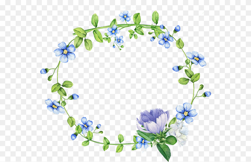 Blue Flowers Border Wreath File Border Forget Me Not, Anemone, Plant, Flower, Fruit Png