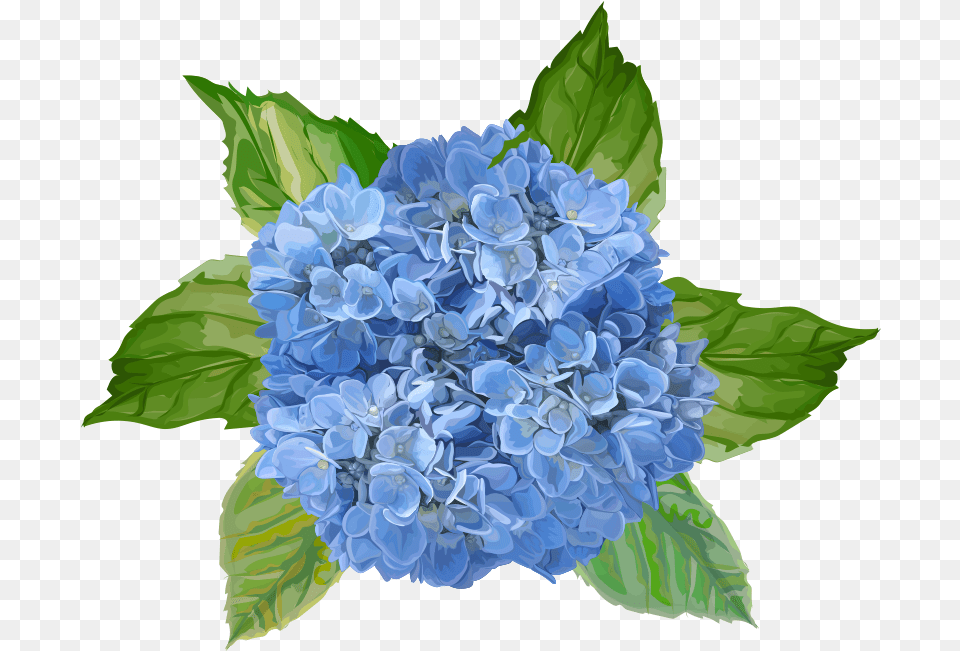 Blue Flowers Flower Wall Decal Bl Blomster, Plant, Geranium, Flower Bouquet, Flower Arrangement Png