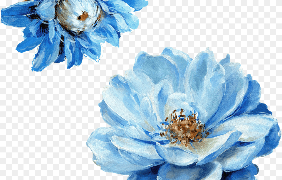 Blue Flowers For Free Download On Mbtskoudsalg Gardening Lisa Audit Art, Anemone, Anther, Flower, Petal Png Image