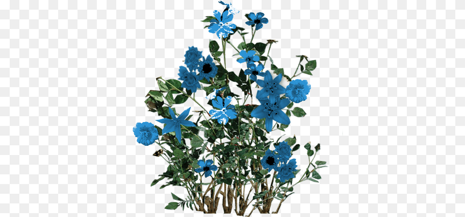 Blue Flowers High Quality Gilbert Cameron Ka10 Flower For Photoshop, Anemone, Flower Arrangement, Geranium, Plant Free Png Download