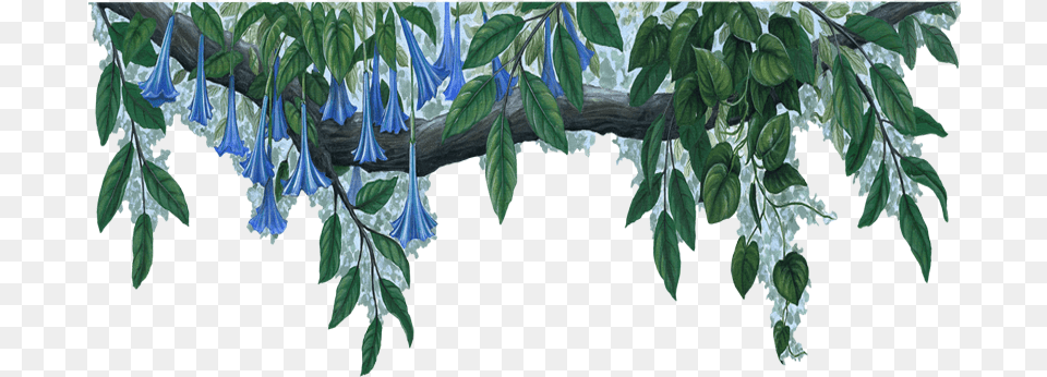Blue Flowers Jungle 37 Cool Wallpaper Blue Flower Border Transparent, Outdoors, Vegetation, Tree, Plant Png Image