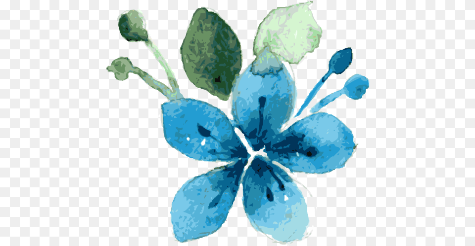 Blue Flowers Transparent Background Watercolour Blue Flower, Leaf, Plant, Petal, Anemone Free Png Download