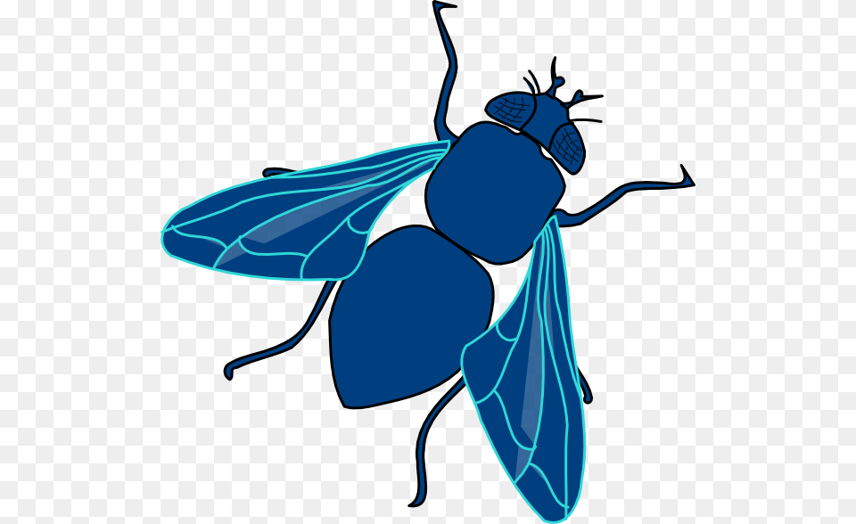 Blue Fly Clip Art, Animal, Bee, Insect, Invertebrate Free Png
