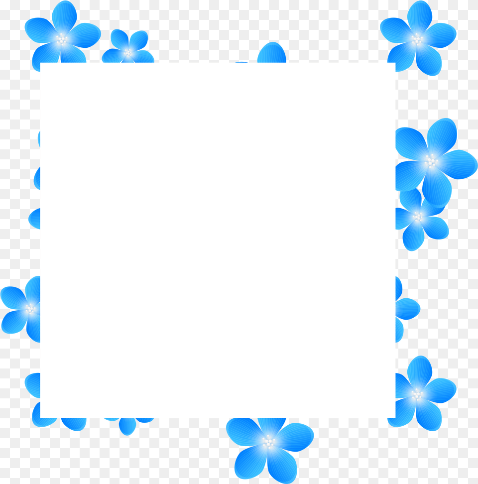 Blue Frame Flower Transparent Transparent Blue Frame Clipart, White Board, Nature, Outdoors, Anemone Free Png