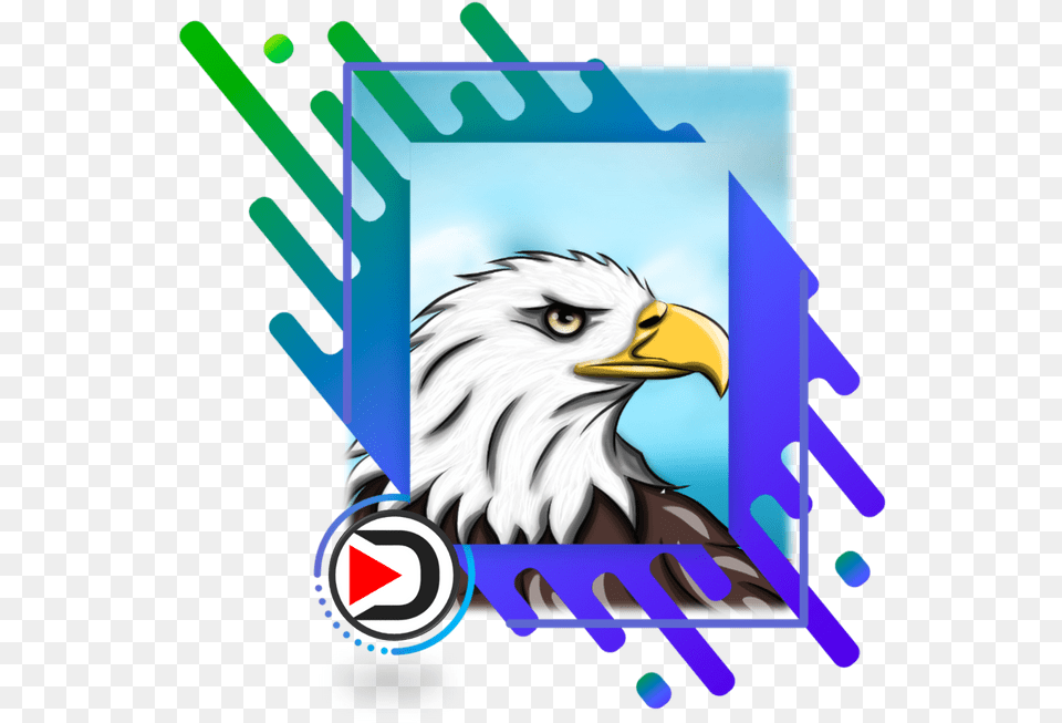 Blue Frame Background, Animal, Bird, Eagle, Bald Eagle Free Transparent Png