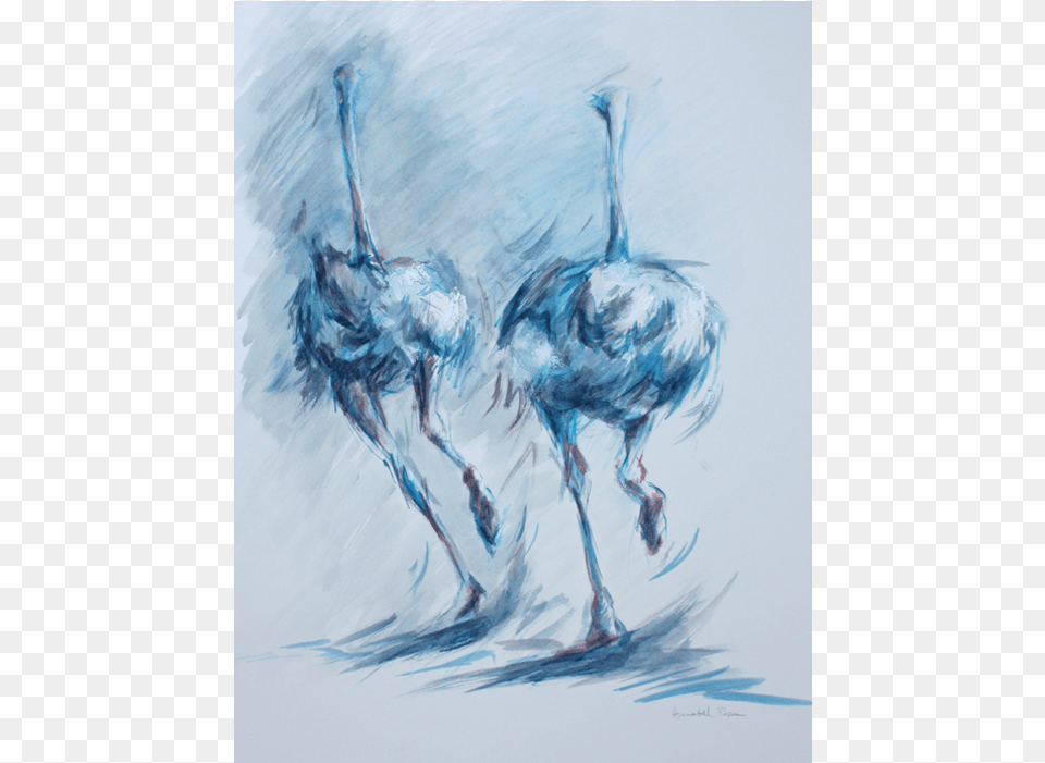 Blue Frenzy Emu, Art, Animal, Bird, Drawing Free Transparent Png