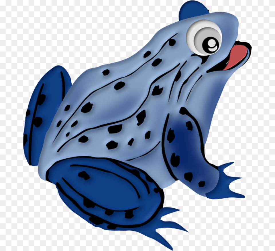 Blue Frog Clip Art Broscute Vitrail Photoshop, Amphibian, Animal, Wildlife, Fish Free Png Download