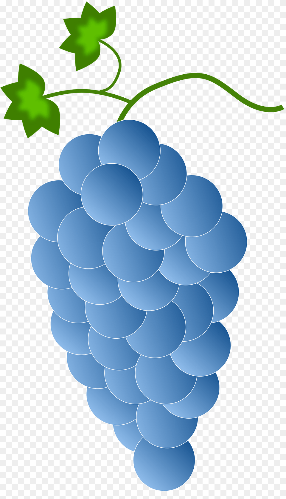 Blue Grapes Clipart, Food, Fruit, Plant, Produce Free Png Download