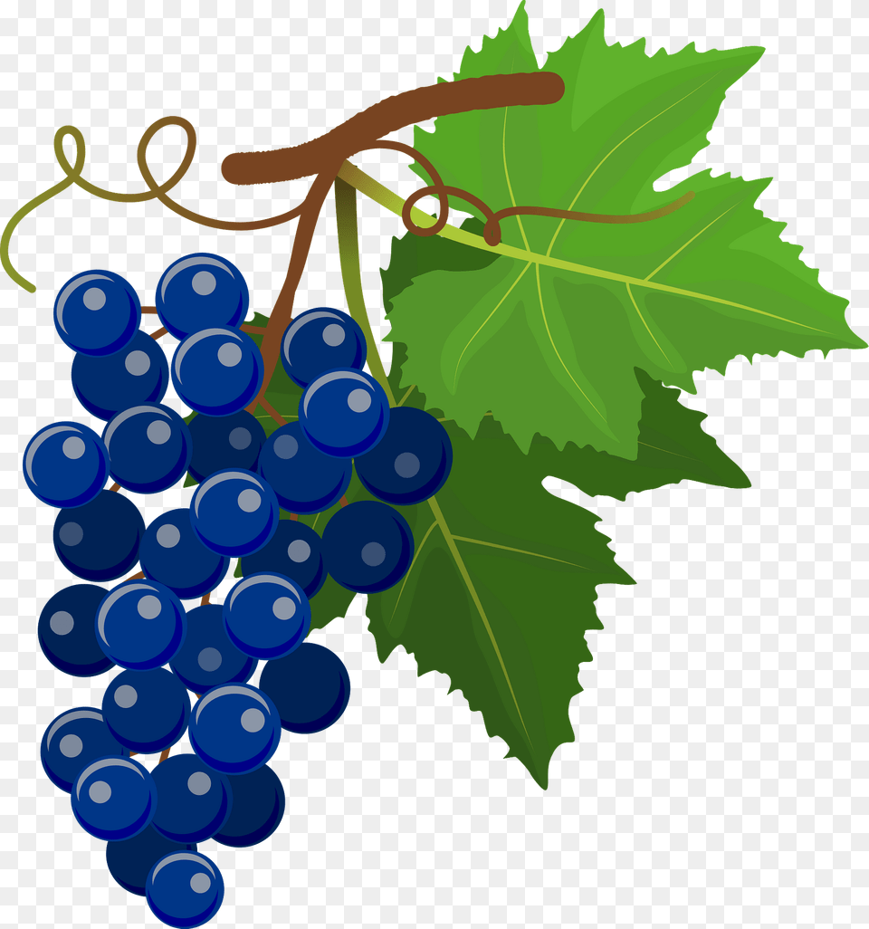 Blue Grapes Clipart, Food, Fruit, Plant, Produce Free Transparent Png