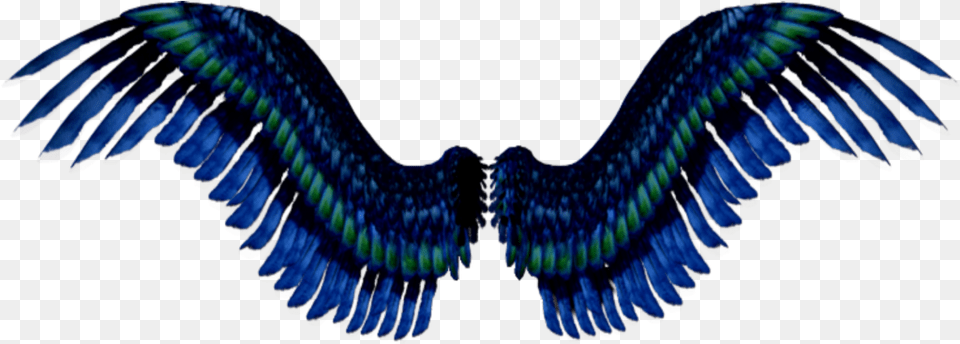 Blue Green Black Wings Flying Halloween Wings Flying, Animal, Bird, Vulture, Accessories Png Image