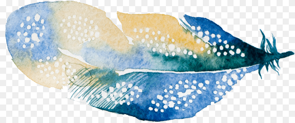 Blue Green Feather Visual Arts, Animal, Fish, Sea Life, Art Free Transparent Png