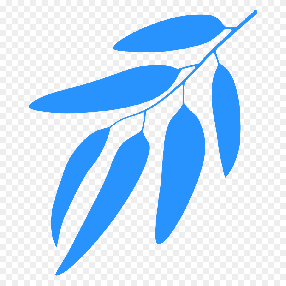 Blue Gum Leaf Silhouette, Plant, Tree, Herbal, Herbs Png