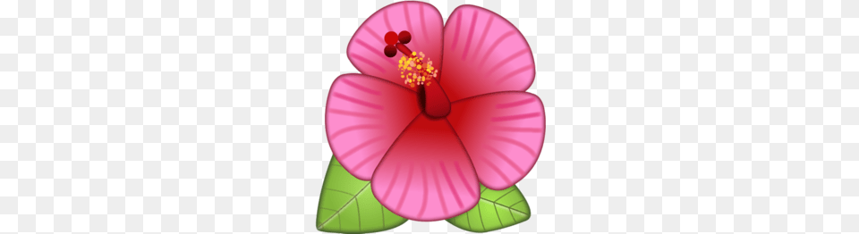 Blue Hawaiian Flower Clipart Clipart, Petal, Plant, Hibiscus, Anther Free Transparent Png