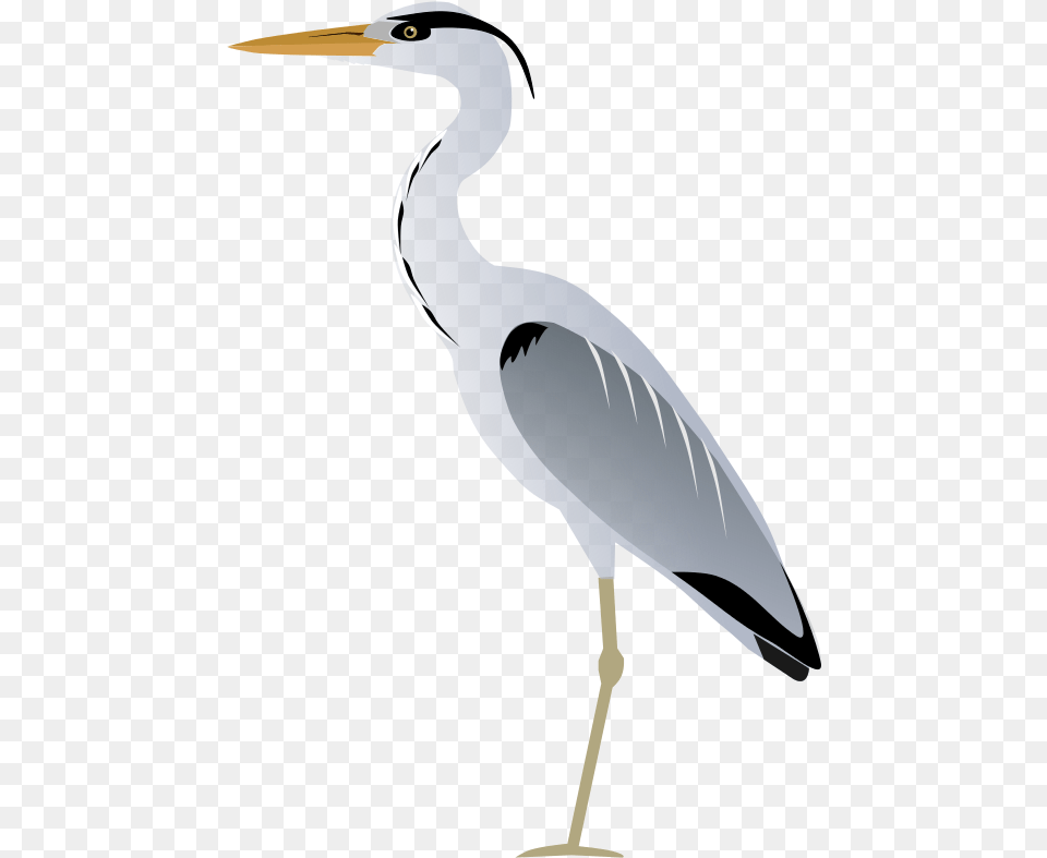 Blue Heron Clipart, Animal, Bird, Crane Bird, Waterfowl Png