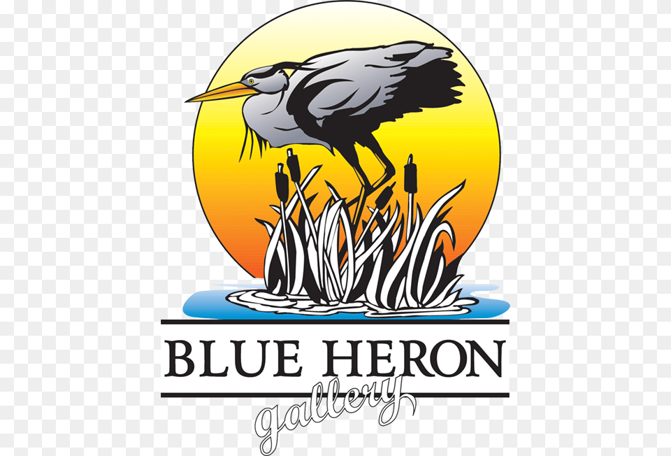 Blue Heron Gallery Florence, Animal, Beak, Bird, Waterfowl Free Png