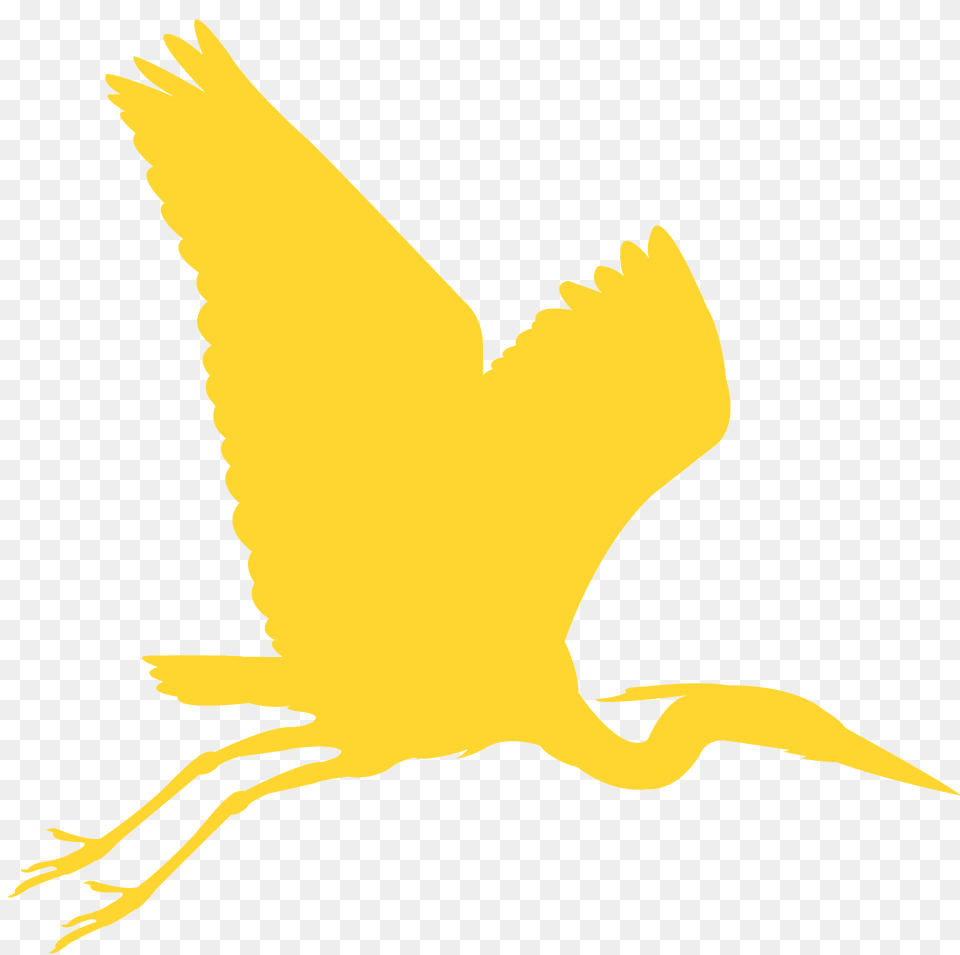 Blue Heron Silhouette, Animal, Bird, Crane Bird, Waterfowl Free Png