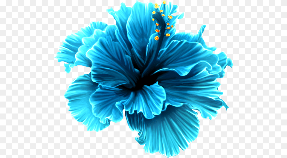Blue Hibiscus Flower U0026 Flowerpng Blue Tropical Flower Clipart, Plant, Person Free Png Download