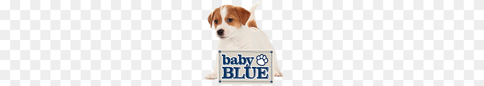 Blue High Protein Grain Free Dog Food Blue Buffalo, License Plate, Transportation, Vehicle, Animal Png Image