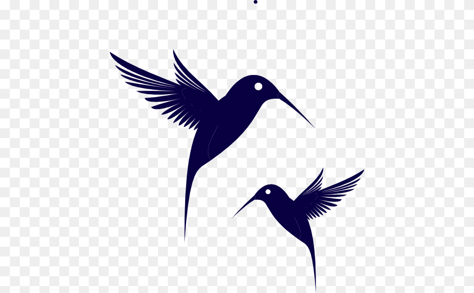 Blue Humming Bird Clip Art, Animal, Blackbird, Stencil, Silhouette Free Png Download