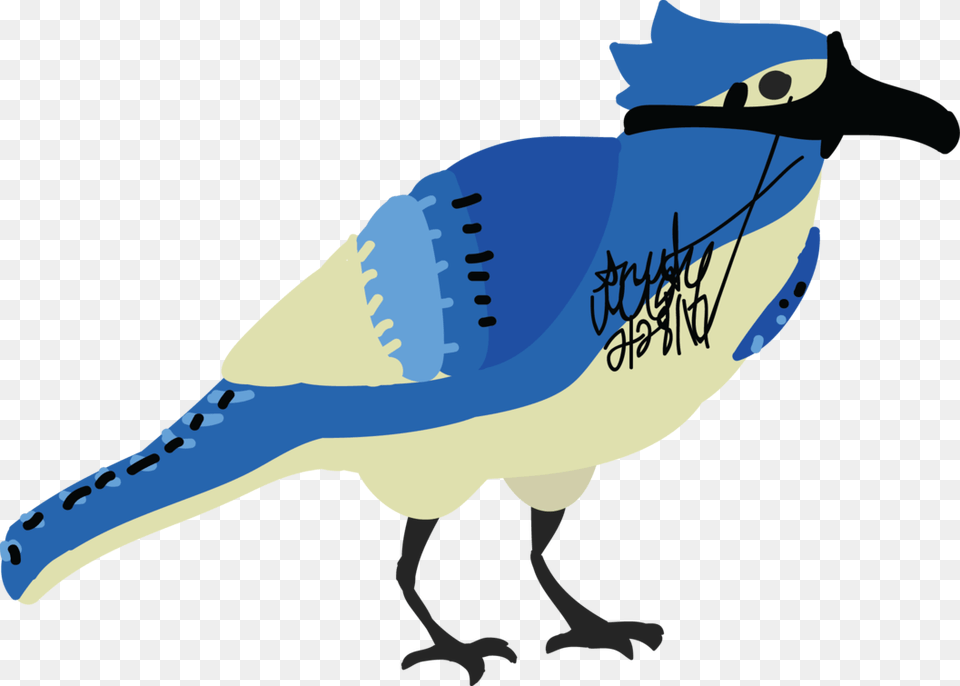 Blue Jay, Animal, Bird, Blue Jay, Bluebird Png Image