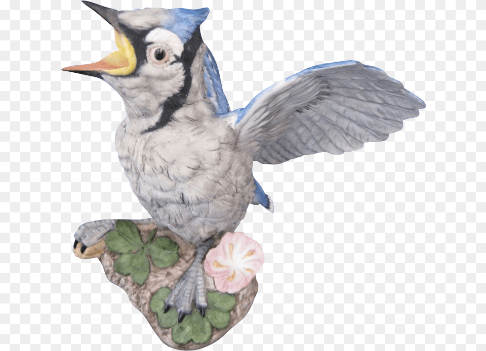 Blue Jay Blue Jay, Animal, Bird, Flower, Plant Free Transparent Png
