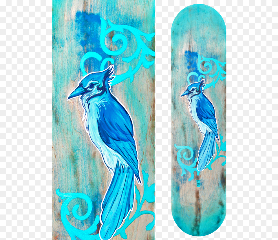 Blue Jay Board Jay, Animal, Bird Free Png