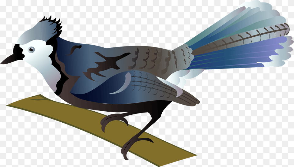 Blue Jay Clipart, Animal, Bird, Blue Jay, Bluebird Free Png