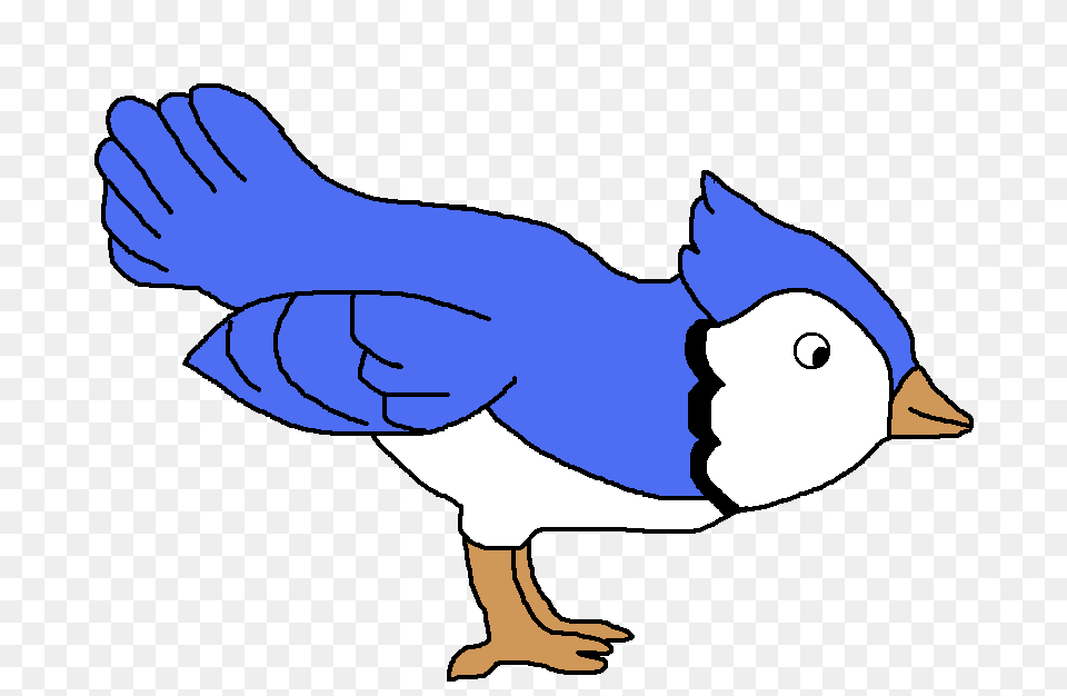 Blue Jay Clipart, Animal, Bird, Baby, Person Png Image