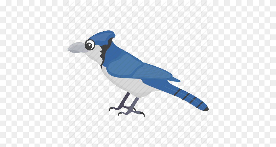 Blue Jay Feather Creature Fowl Mockingbird Pet Animal Icon, Bird, Blue Jay, Bluebird Png Image