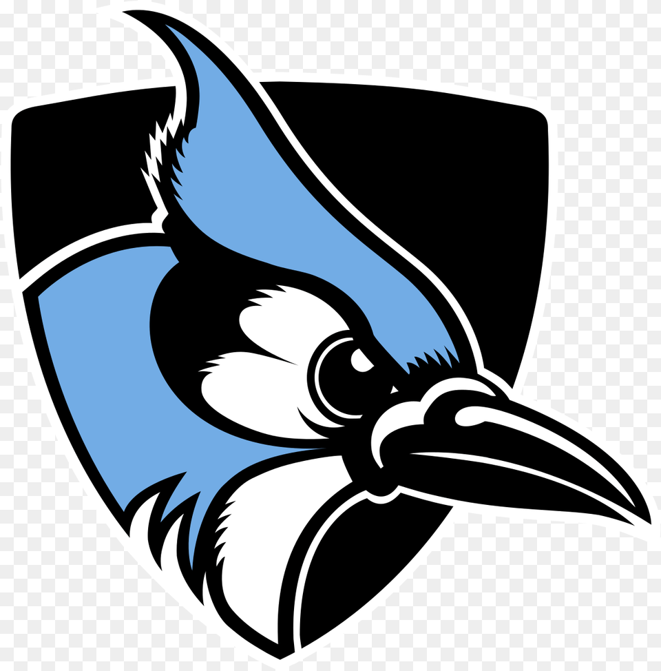 Blue Jay Johns Hopkins Logo, Animal, Bird, Blue Jay, Bluebird Free Transparent Png
