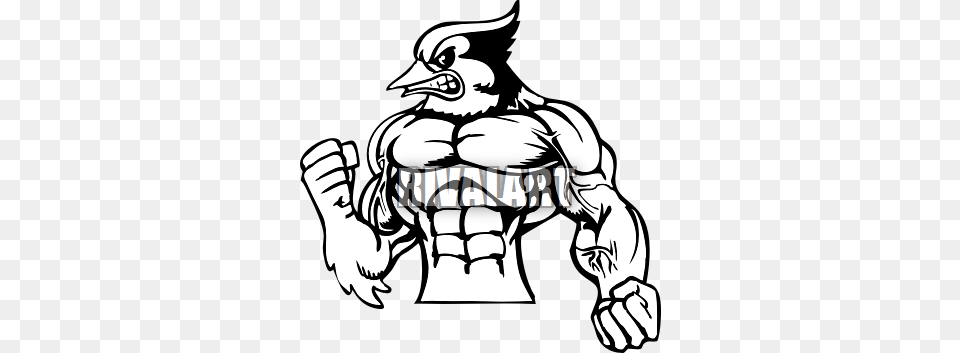Blue Jay Torso, Body Part, Hand, Person, Baby Free Transparent Png